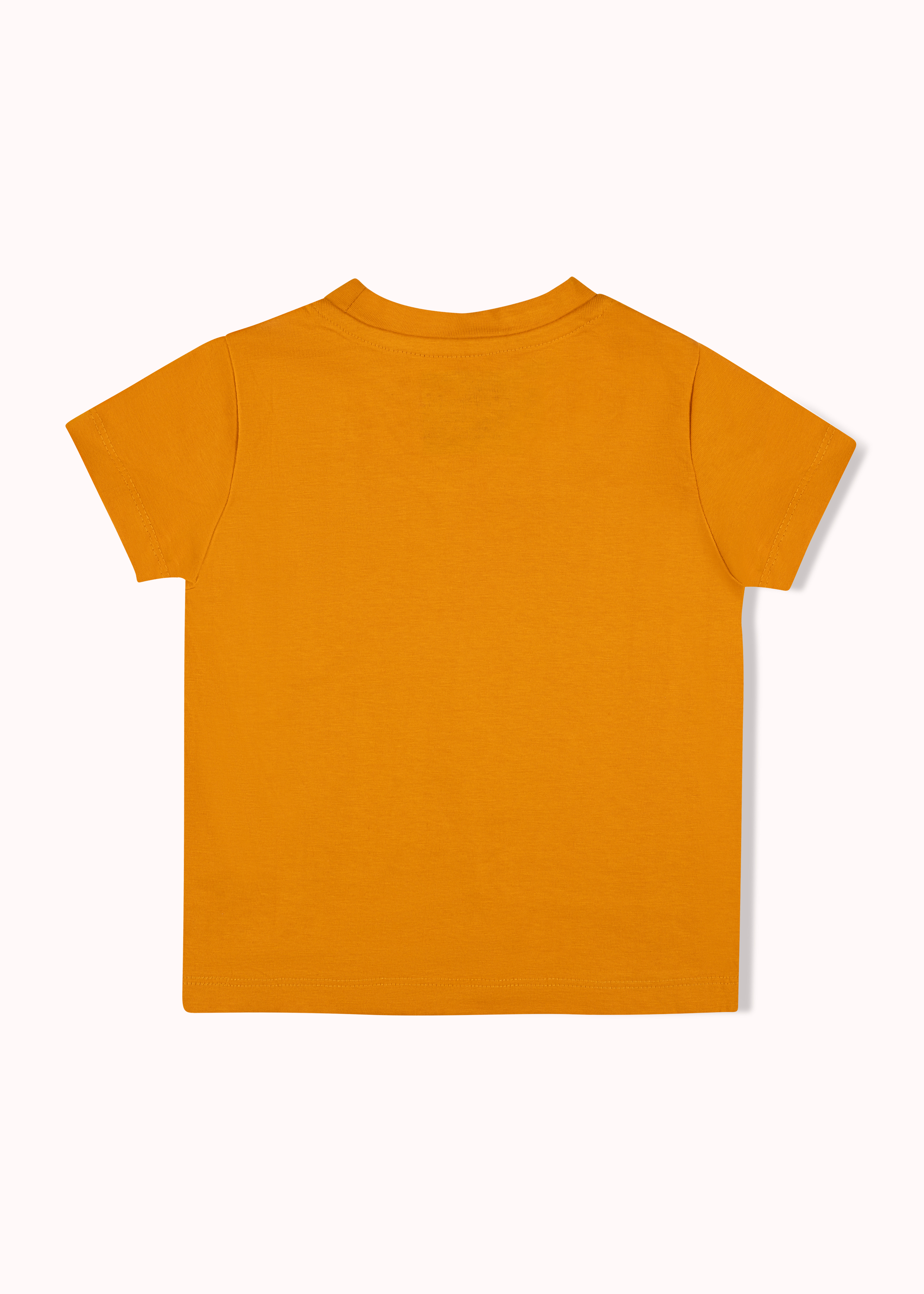 2 Pack printed boys t-shirt